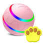 Pet New Cat Wicked Ball Toy