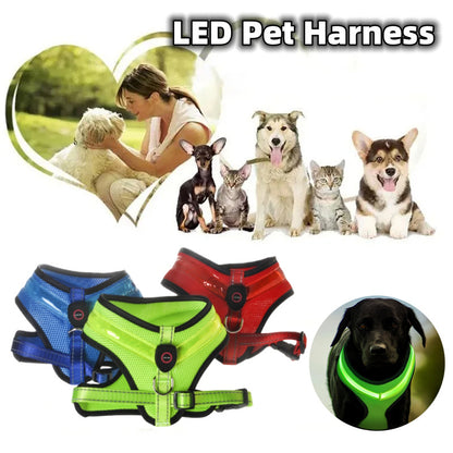 USB Rechargeable LED Safety Harness