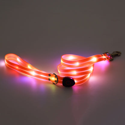 LED Luminous Pet Collar & Leash