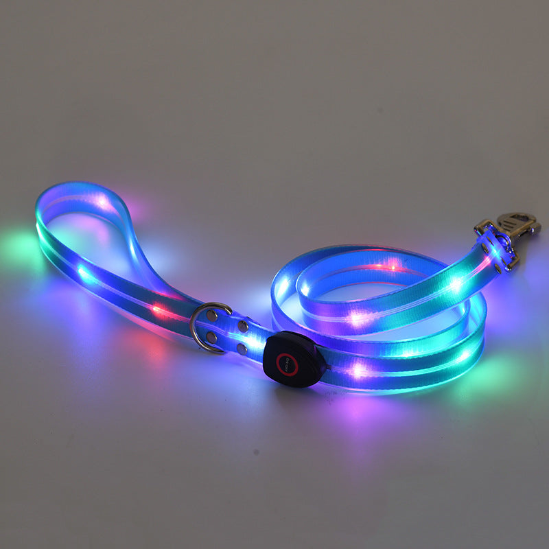 LED Luminous Pet Collar & Leash