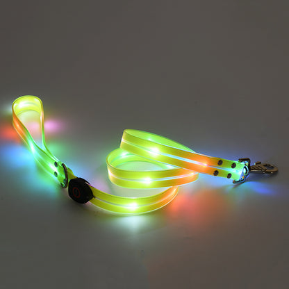 LED Luminous Pet Collar & Leash