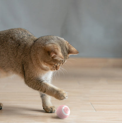 Automatic Moving Bouncing Rolling Smart Cat Toy Ball