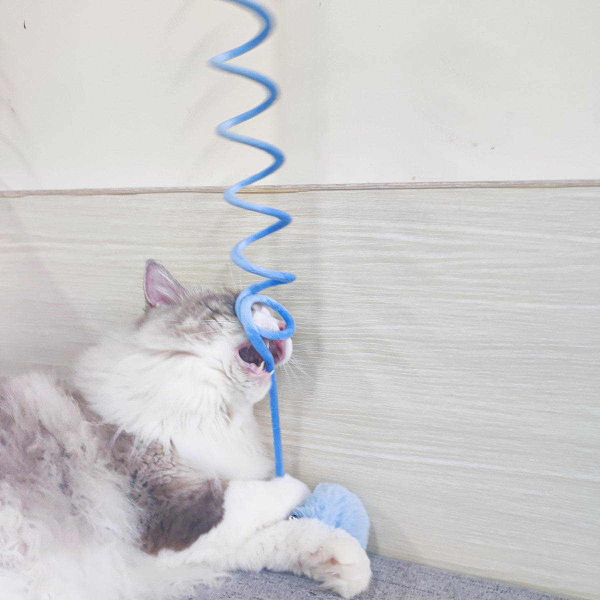 Self-Hi Sucker Spring Cat Toy