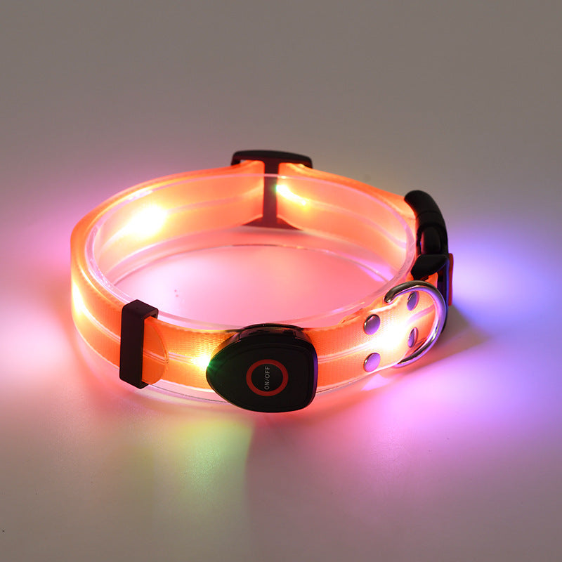 LED Luminous Pet Collar & Leash