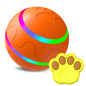 Pet New Cat Wicked Ball Toy