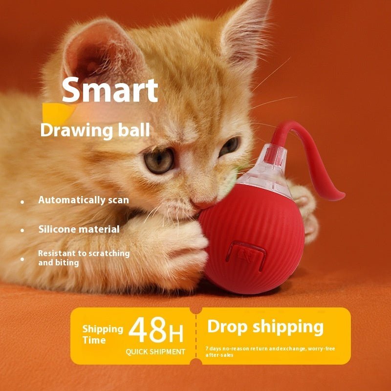 Interactive Rolling Cat Toy Ball