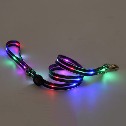 LED Luminous Pet Collar & Leash